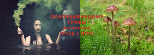трава Аркадак