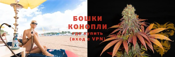 трава Аркадак