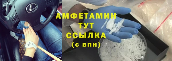 трава Аркадак