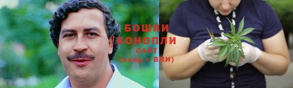 трава Аркадак