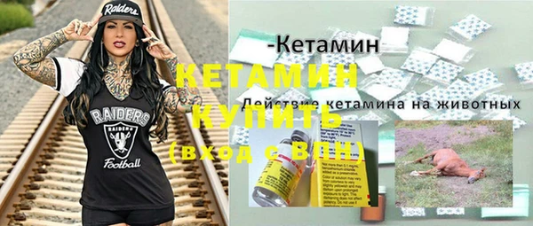 трава Аркадак