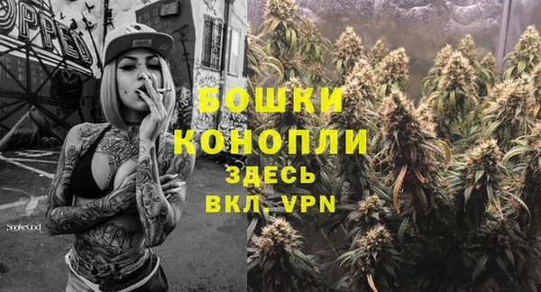 трава Аркадак