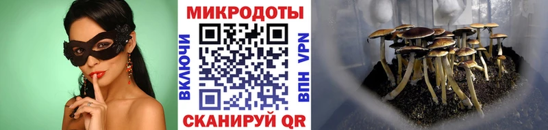 Галлюциногенные грибы Magic Shrooms  Боготол 